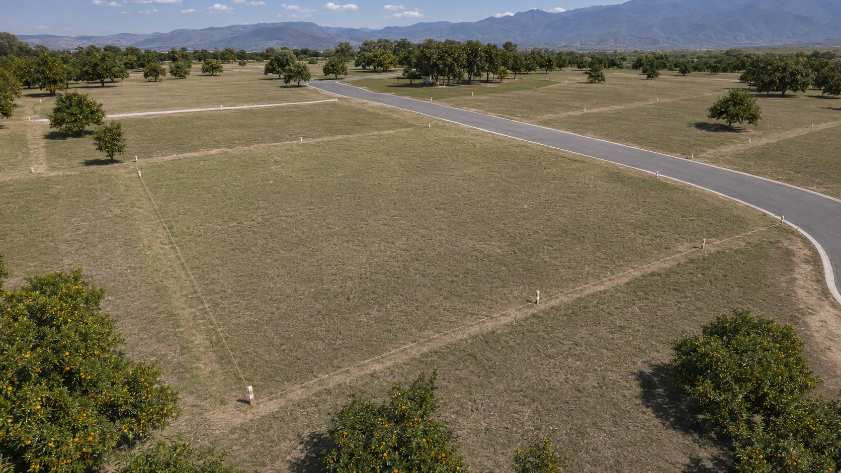 Visualización del terreno y vialidades de Liranza